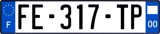 FE-317-TP