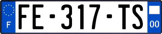 FE-317-TS