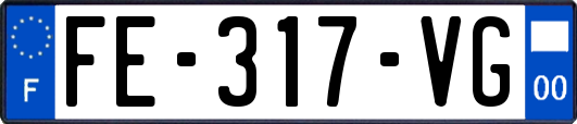FE-317-VG