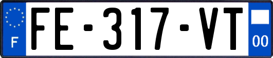 FE-317-VT