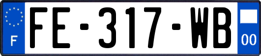 FE-317-WB