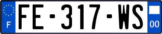 FE-317-WS