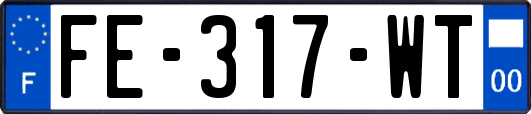 FE-317-WT