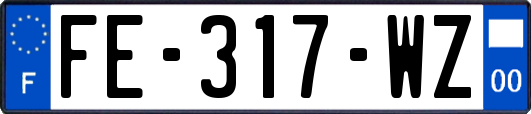 FE-317-WZ