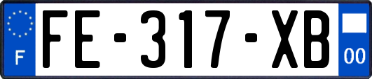 FE-317-XB