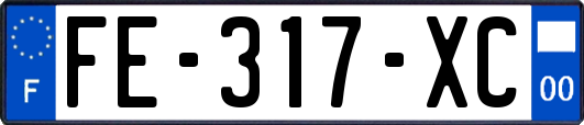 FE-317-XC