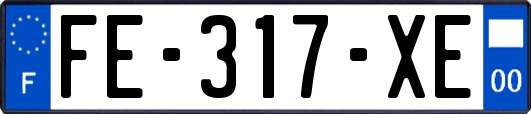 FE-317-XE