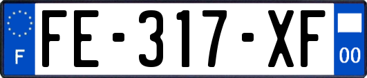 FE-317-XF