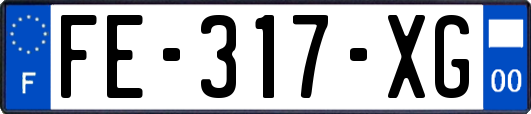 FE-317-XG