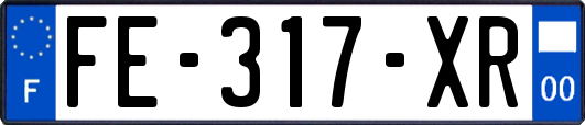 FE-317-XR