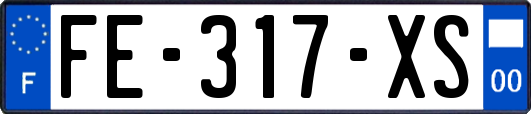 FE-317-XS