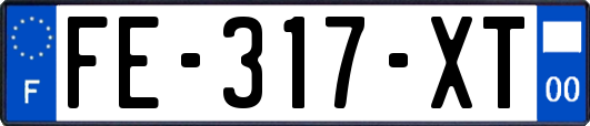 FE-317-XT