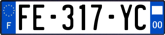 FE-317-YC
