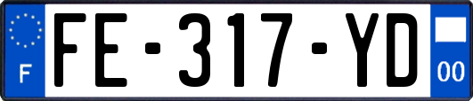 FE-317-YD