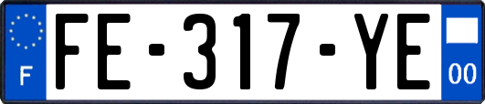 FE-317-YE