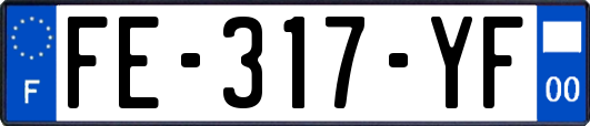 FE-317-YF