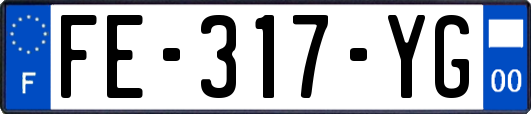 FE-317-YG