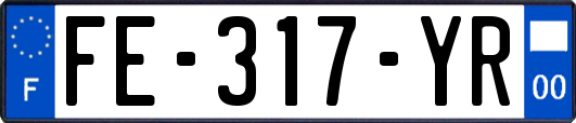 FE-317-YR