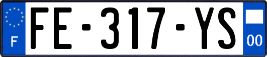 FE-317-YS