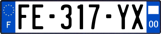 FE-317-YX