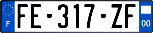 FE-317-ZF