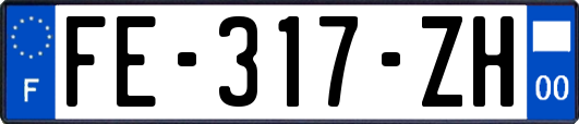 FE-317-ZH