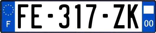 FE-317-ZK