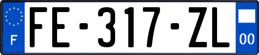 FE-317-ZL