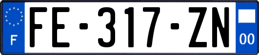 FE-317-ZN