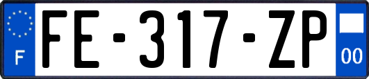 FE-317-ZP