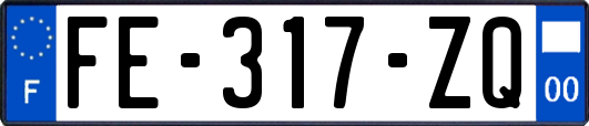 FE-317-ZQ