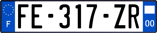 FE-317-ZR