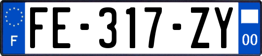 FE-317-ZY