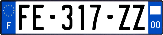 FE-317-ZZ