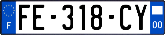 FE-318-CY