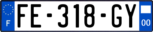 FE-318-GY