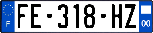 FE-318-HZ