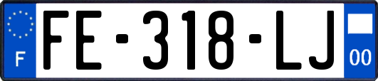 FE-318-LJ