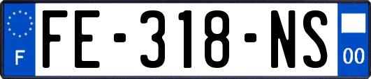 FE-318-NS