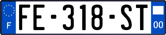 FE-318-ST