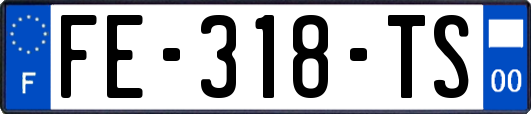 FE-318-TS