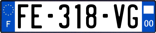 FE-318-VG