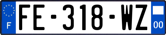 FE-318-WZ