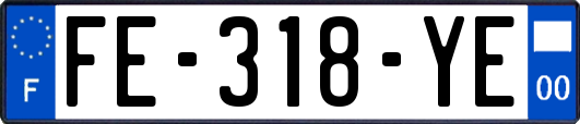 FE-318-YE