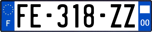 FE-318-ZZ