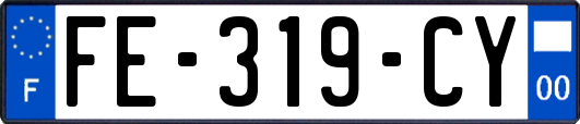 FE-319-CY
