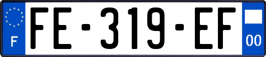FE-319-EF