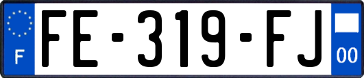 FE-319-FJ