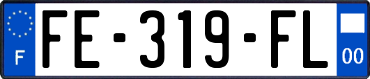 FE-319-FL