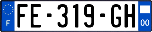 FE-319-GH